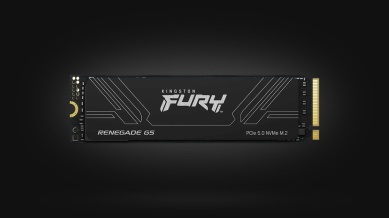 1TB Kingston FURY Renegade G5 [14200MB/s, Gen5]