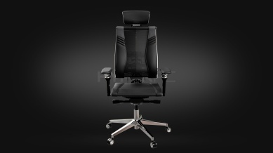 METTA Yoga Spine Triumph B2