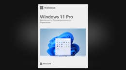 Microsoft Windows 11 Pro BOX