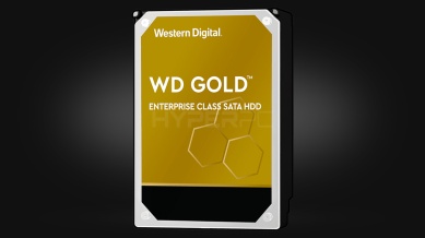 6TB Western Digital Gold [7200RPM]