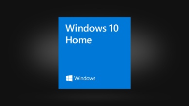 Microsoft Windows 10 Home (OEM)