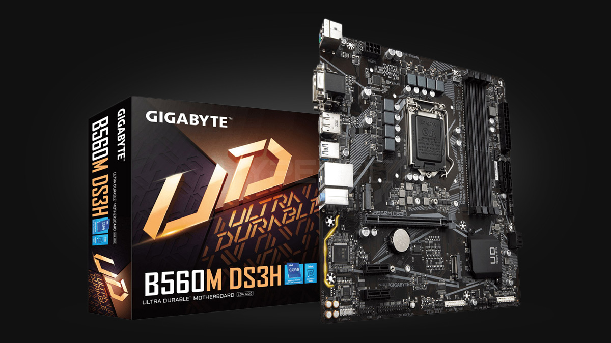 GIGABYTE B560M DS3H