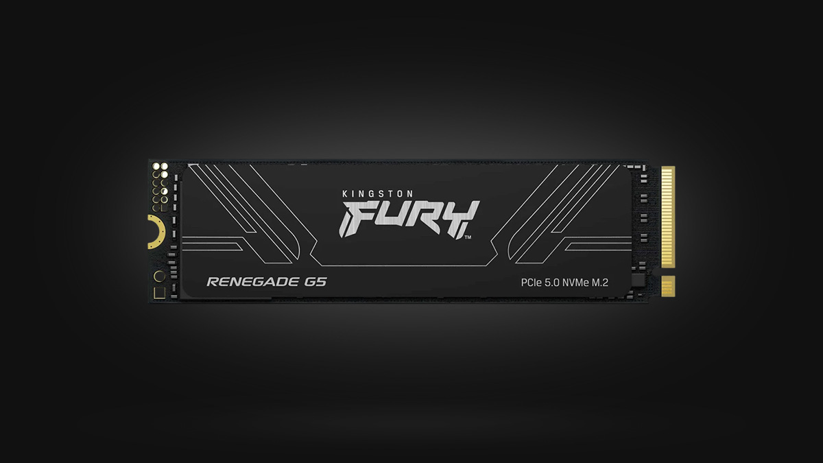 2TB Kingston FURY Renegade G5 [14700MB/s, Gen5]