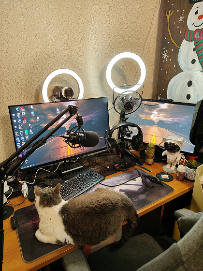 Рабочий стол участника 1