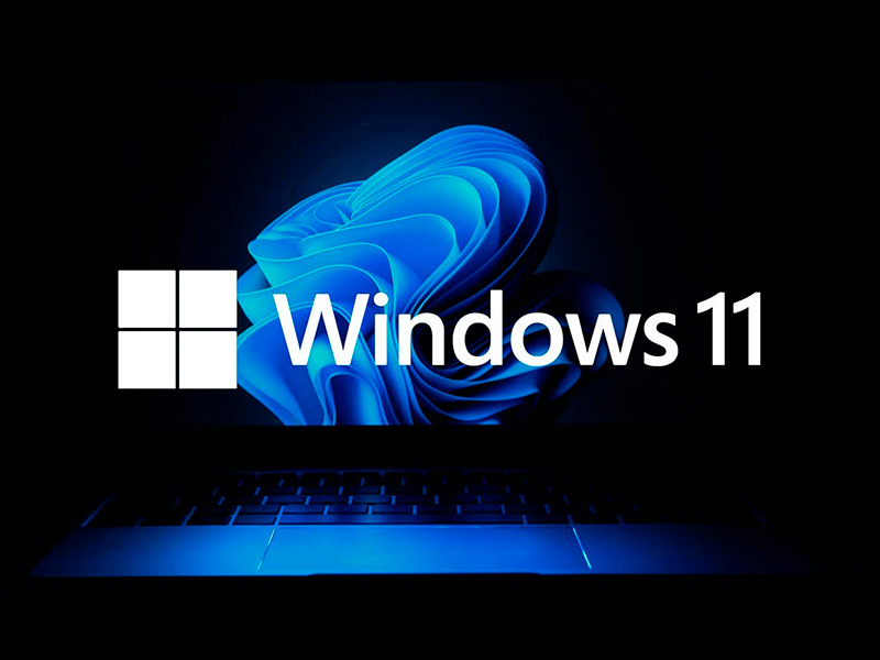 Windows 11