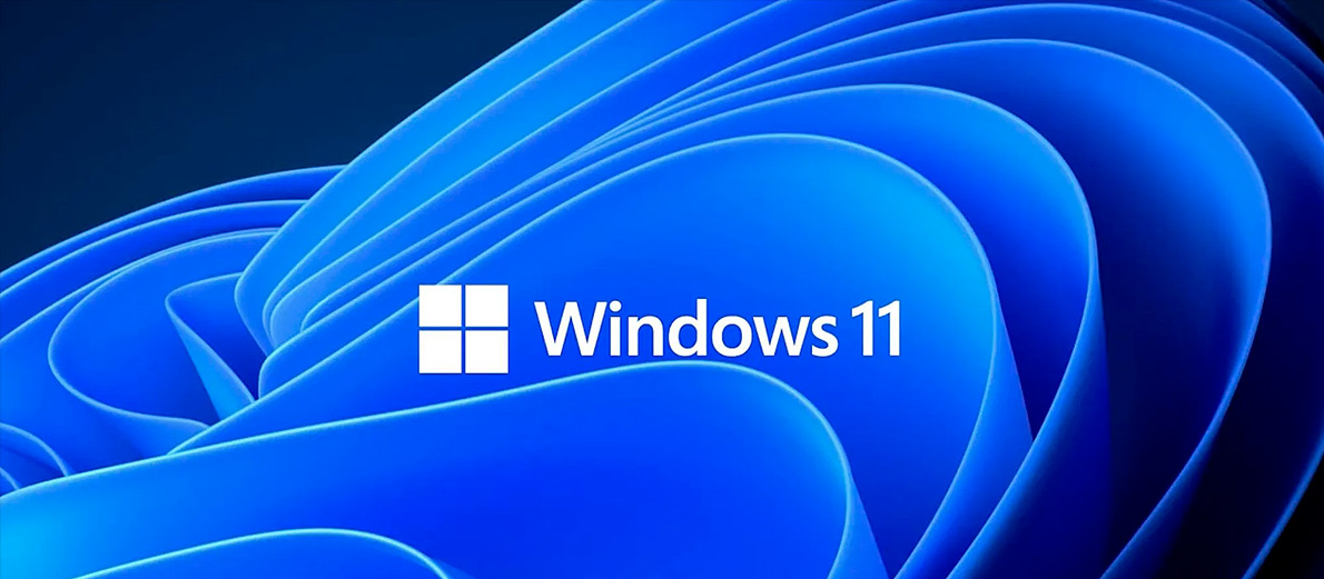 Windows 11