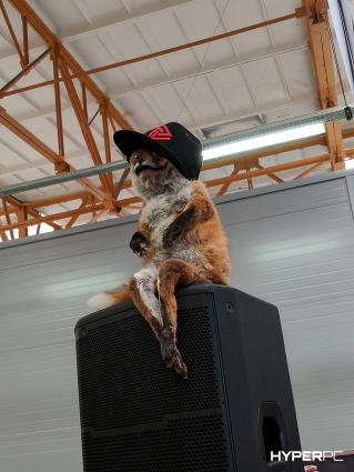 hyperpc streamfest 2017 photo 19