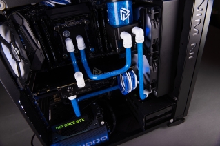 in win 805 infinity semchenko photo 10