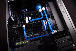 in win 805 infinity semchenko photo 15