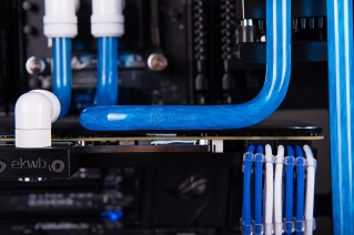 in win 805 infinity semchenko photo 16